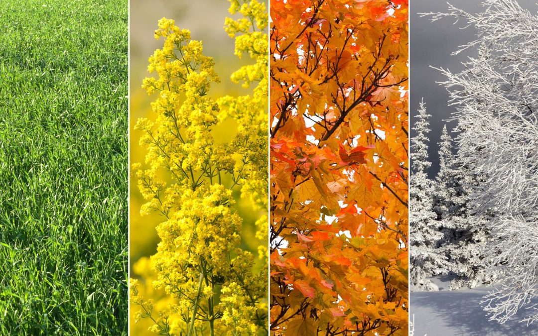 Seasonal HVAC Maintenance Tips for Year-Round Comfort